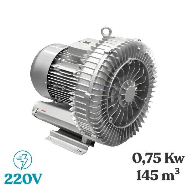 0,75 Kw 145 Metre3 Vakum Motoru - 1